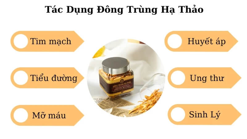 tac dung dong trung ha thao qua the say kho