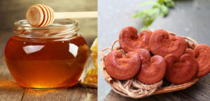 lợi ích của nấm linh chi ngâm mật ong