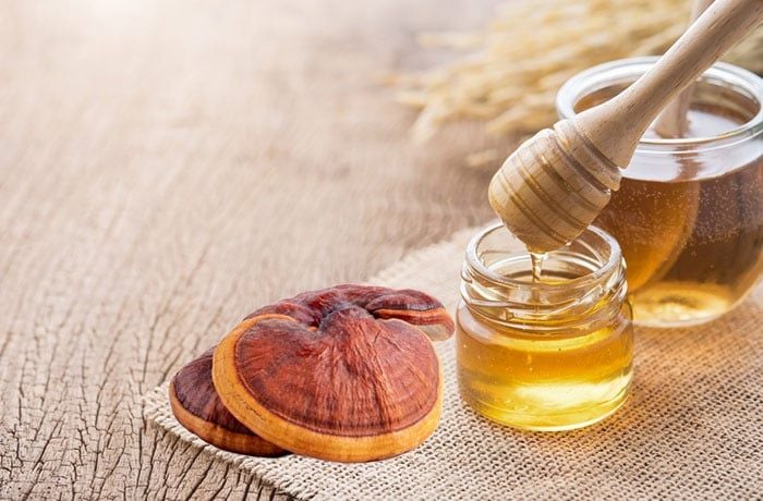 cách ngâm mật ông với nâm linh chi đơn giản tại nhà