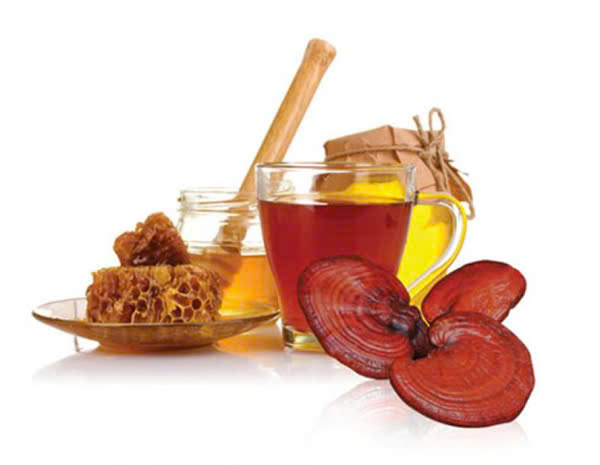 nấm linh chi ngâm mật ong