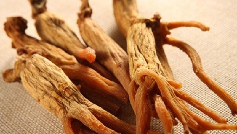 Các trường hợp không nên ngậm sâm khô