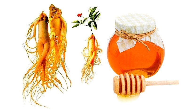 Cách bảo quản sâm tươi với mật ong