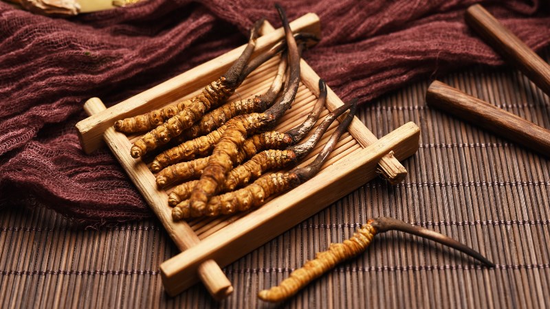 Cách phân biệt đông trùng hạ thảo thật và giả dựa vào hình dạng 