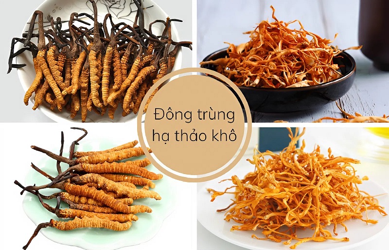 Đông trùng hạ thảo khô là gì