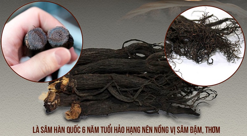 Hắc sâm Hàn Quốc đem lại rất nhiều lợi ích cho sức khỏe