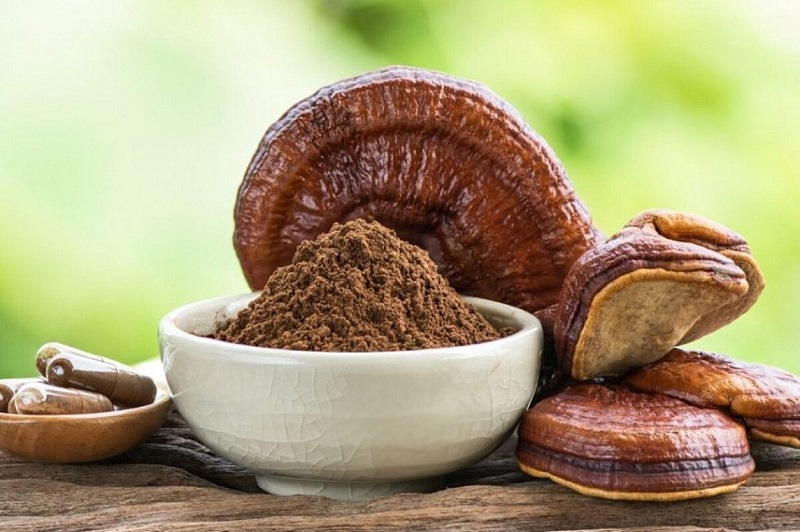 Lợi ích của nấm linh cho đối với bệnh nhân ung thư