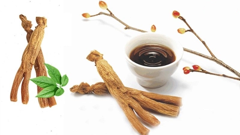 Uống nước sâm giúp cải thiện chức năng não bộ