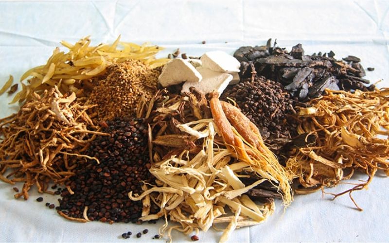 Tác dụng của nhân sâm với cơ thể theo Đông y
