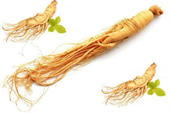 cac-kinh-nghiem-de-chon-duoc-loai-sam-han-quoc-tot-nhat Các kinh nghiệm để chọn được loại sâm Hàn Quốc tốt nhất