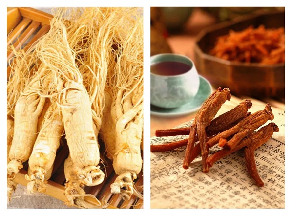 sam-han-quoc-loai-nao-tot-nhat-cho-co-the-cua-ban-va-nguoi-than Sâm Hàn Quốc loại nào tốt nhất cho cơ thể của bạn và người thân