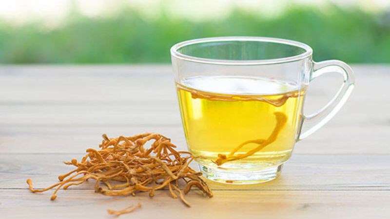Sử dụng Đông trùng hạ thảo nhân tạo để pha trà