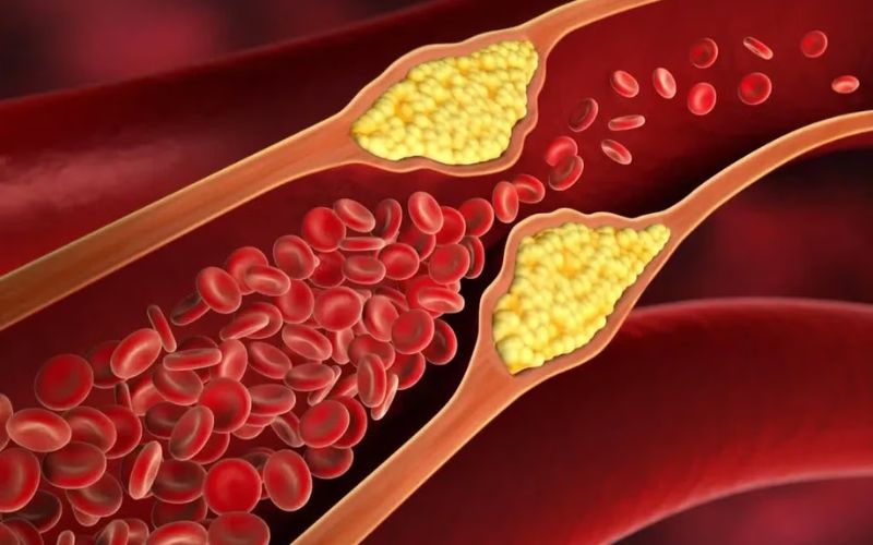 Tác dụng của Đông Trùng Hạ Thảo đối với chức năng thận