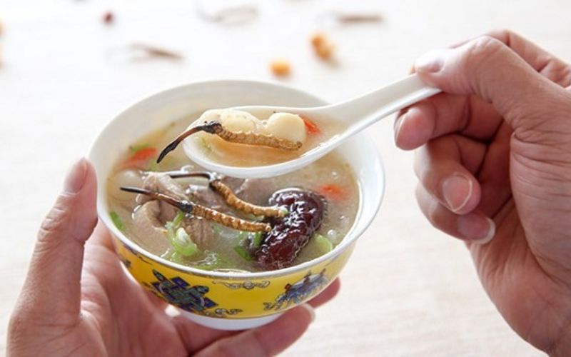 Cách sử dụng Đông Trùng Hạ Thảo tốt cho thận