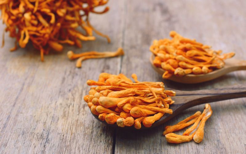 Cách sử dụng Đông Trùng Hạ Thảo tốt cho thận