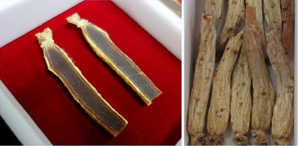 thai-cuc-sam-co-ham-luong-duong-chat-gap-doi-nhan-sam-tuoi-va-bach-sam Thái cực sâm có hàm lượng dưỡng chất gấp đôi nhân sâm tươi và bạch sâm