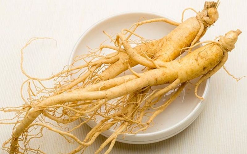 Tiêu chí chọn địa chỉ mua sâm Hàn Quốc tại Hà Nội