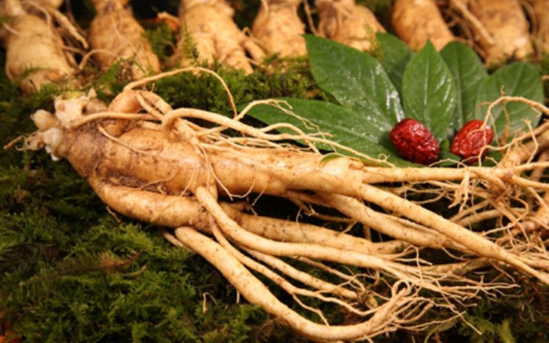 Tiêu chí chọn địa chỉ mua sâm Hàn Quốc tại Hà Nội