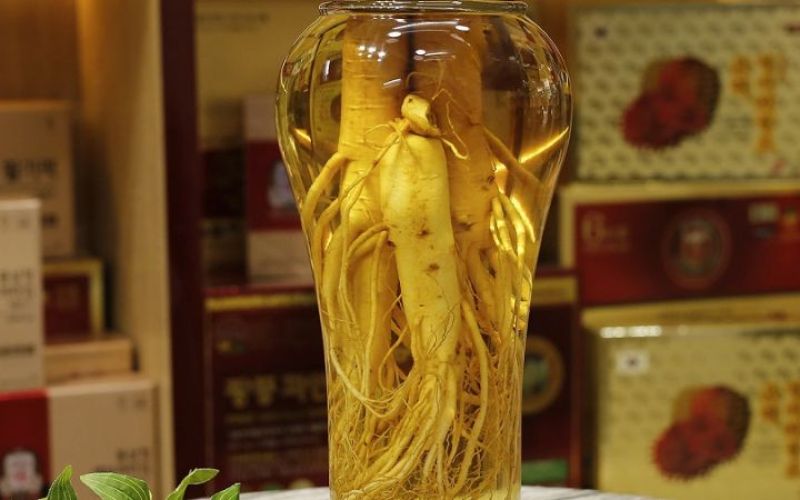 Thời gian ngâm rượu sâm phổ biến