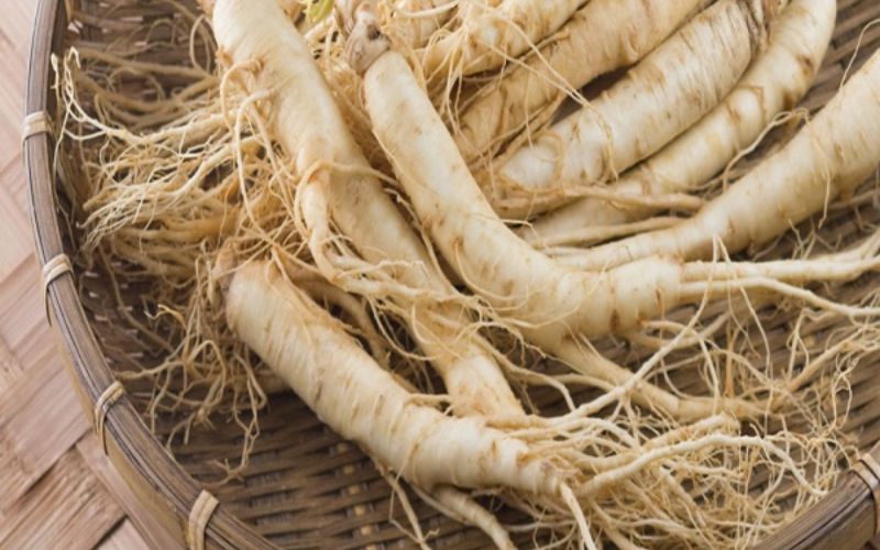 Nguồn Gốc và Điều Kiện Thổ Nhưỡng