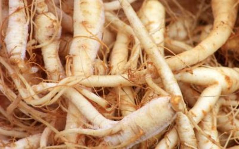 Nên Chọn Sâm Nào Để Bảo Vệ Sức Khỏe?