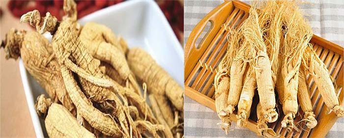 bach-sam-co-gia-thanh-re-hon-so-voi-hong-sam-han-quoc Bạch sâm có giá thành rẻ hơn so với Hồng sâm Hàn Quốc