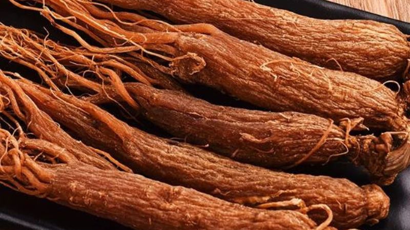 hong-sam-han-quoc-co-ham-luong-dinh-duong-cao-hon-so-voi-bach-sam Hồng sâm Hàn Quốc có hàm lượng dinh dưỡng cao hơn so với Bạch sâm