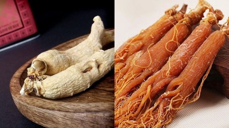 so-sanh-bach-sam-va-hong-sam-han-quoc-loai-nao-tot-hon So sánh Bạch sâm và Hồng sâm Hàn Quốc loại nào tốt hơn?