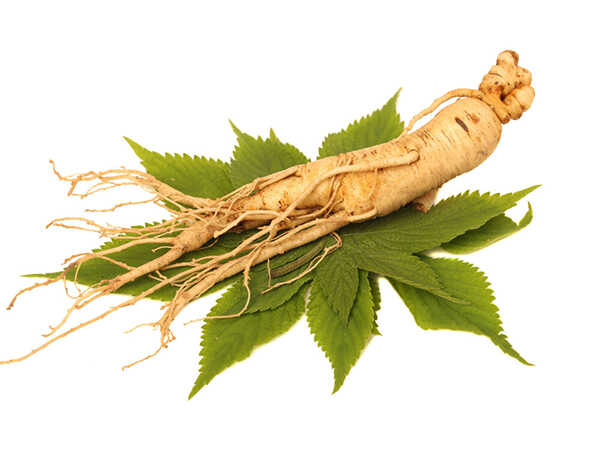 tim-hieu-chi-tiet-nhan-sam-han-quoc-6-nam-tuoi-la-gi-va-cach-nhan-biet-chinh-xac Tìm hiểu chi tiết nhân sâm Hàn Quốc 6 năm tuổi là gì và cách nhận biết chính xác